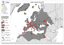 Aedes caspius - current known distribution: May 2020