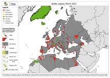 Aedes caspius - current known distribution: March 2022
