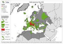 Aedes japonicus - current known distribution: May 2020