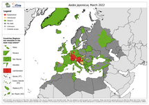 Aedes japonicus - current known distribution: March 2022