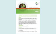 Annual Epidemiological Report for 2015 Plague Thumbnail