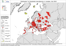 Anopheles maculipennis s.l. complex - current known distribution, July 2018 Thumbnail