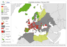 Anopheles plumbeus - current known distribution: February 2023