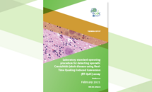 Cover: Laboratory standard operating procedure for detecting sporadic Creutzfeldt-Jakob disease using Real- Time Quaking-Induced Conversion (RT-QuIC) assay