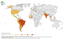 12-month Chikungunya virus disease case notification rate per 100 000 population, August 2023-July 2024