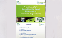 Cover of Chikungunya presentation Thumbnail