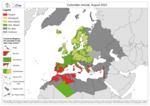 Culicoides imicola - current known distribution: August 2023