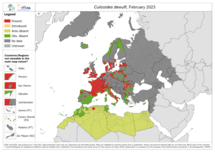 Culicoides dewulfi - current known distribution: March 2023
