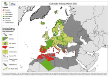 Culicoides imicola - current known distribution: March 2021