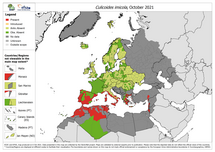 Culicoides imicola - current known distribution: October 2021