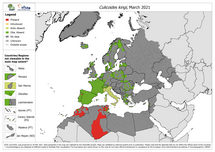 Culicoides kingi - current known distribution: March 2021