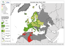 Culicoides kingi - current known distribution: March 2022
