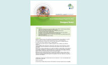 Dengue fever - Annual Epidemiological Report for 2015 Thumbnail