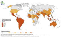  12-month dengue virus disease case notification rate per 100 000 population, December 2023-November 2024