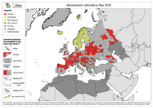 Dermacentor reticulatus - current known distribution: May 2020
