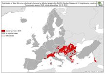 West Nile fever in Europe in 2018 - human cases; updated 12 October Thumbnail