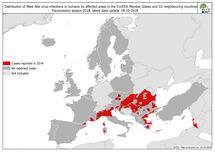 West Nile fever in Europe in 2018 - human cases; updated 19 October Thumbnail