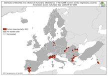  West Nile virus in Europe in 2020 - human cases, updated 19 November