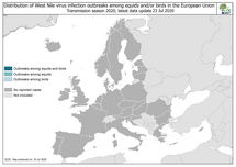 West Nile virus in Europe in 2020 - outbreaks among equids and/or birds, updated 24 July 2020