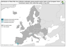 West Nile virus in Europe in 2020 - outbreaks among equids and/or birds, updated 13 August 2020