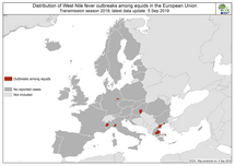 West Nile virus in Europe in 2019 - equine cases, updated 6 September Thumbnail