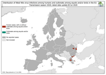 West Nile virus in Europe in 2020 - infections among humans and outbreaks among equids and/or birds, updated 31 July 2020