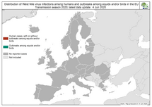 West Nile virus in Europe in 2020 - infections among humans and outbreaks among equids and/or birds, updated
