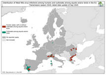 West Nile virus in Europe in 2020 - infections among humans and outbreaks among equids and/or birds, updated 10 September 2020