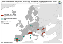 West Nile virus in Europe in 2020 - infections among humans and outbreaks among equids and/or birds, updated 8 October 2020