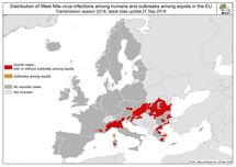 West Nile fever in Europe in 2018 - human and equine cases; updated 5 October Thumbnail