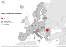 Number of measles cases by country, December 2023