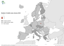 Number of rubella cases, January 2024