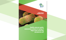 EQA 12th Typing of Shiga Toxin Producing E Coli