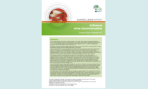 Cover of the Influenza virus characterisation, Summary Europe, December 2017 Thumbnail