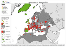 Aedes vexans s.l. - current known distribution: September 2021