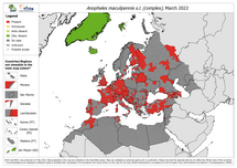 Anopheles maculipennis s.l. - current known distribution: March 2022