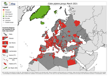 Culex pipiens group - current known distribution: March 2021