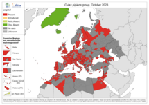 Culex pipiens group - current known distribution: October 2023