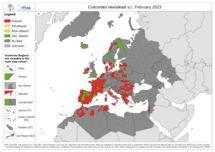 Culicoides newsteadi s.l. - current known distribution: March 2023