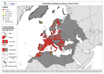 Culicoides obsoletus/scoticus - current known distribution: March 2022