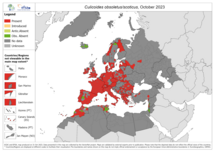Culicoides obsoletus/scoticus - current known distribution: October 2023
