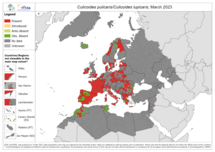 Culicoides pulicaris/lupicaris - current known distribution: March 2023