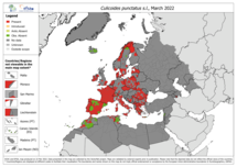 Culicoides punctatus s.l. - current known distribution: March 2022