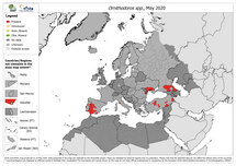 Ornithodorus spp. - current known distribution: May 2020
