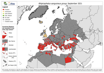 Rhipicephalus sanguineus - current known distribution: September 2021