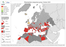 Rhipicephalus sanguineus - current known distribution: October 2023