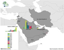 Geographical distribution of confirmed MERS-CoV cases by country of infection and year, from April 2012 to 30 January 2023