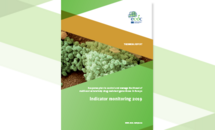 Cover for Response plan to control and manage the threat of multi- and extensively drug-resistant gonorrhoea in Europe - Indicator monitoring 2019