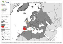 Hyalomma lusitanicum - current known distribution: October 2020