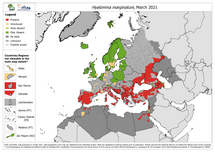Hyalomma marginatum - current known distribution: March 2021